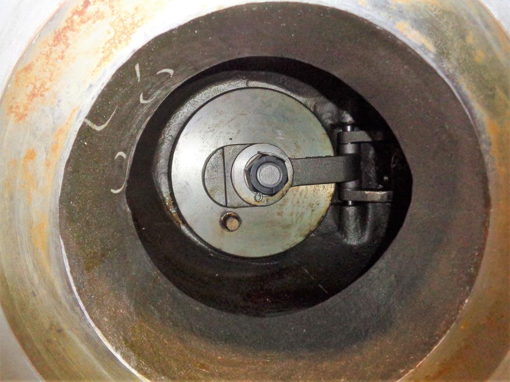 DSI 8" 300# WCB Swing Check Valve Fig# 149 XU